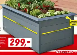 Bauhaus Gardol Hochbeet doppelwandig Angebot
