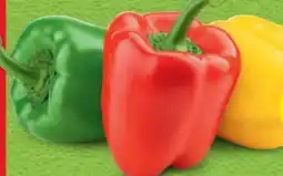 Hofer Hofer Marktplatz Paprika-Mix Angebot