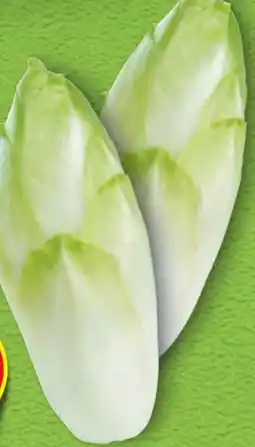 Hofer Hofer Marktplatz Chicoree Angebot