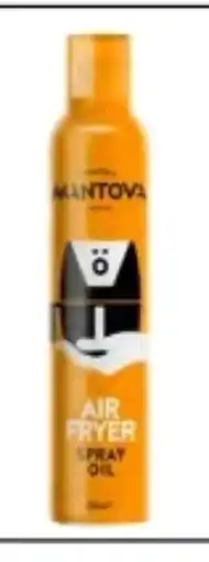 Interspar Fratelli Mantova Airfryer Spray Angebot