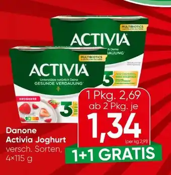 Danone Activia Joghurt