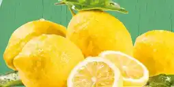 Spar Spar Premium Zitronen Angebot