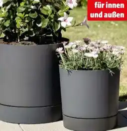 Hagebau Scheurich Pflanzgefäß Plano+ Angebot
