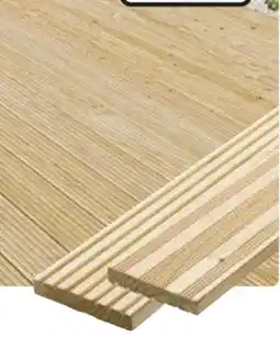Hagebau Mr.Gardener Terrassendiele Europäische Lärche Angebot