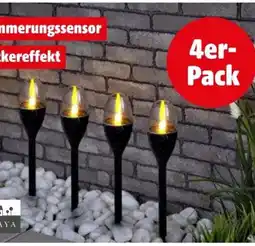 Hagebau Casaya LED-Solarleuchte Lorcan Angebot