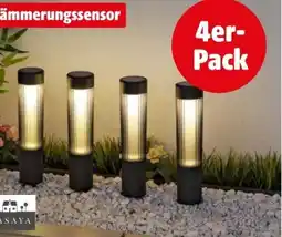 Hagebau Casaya LED-Solarleuchte Nortrun Angebot