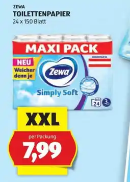 Hofer Zewa Toilettenpapier Angebot