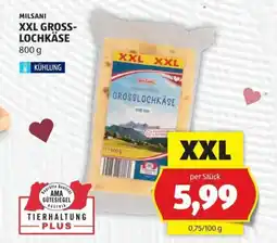 Hofer Milsani Grosslochkäse Angebot