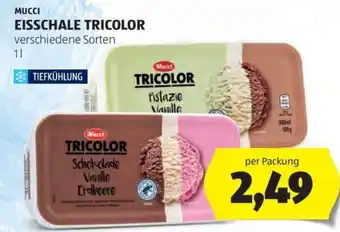 Hofer Mucci Eisschale Tricolor Angebot