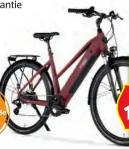 Hofer Prophete Damen Trekking E-Bike Angebot