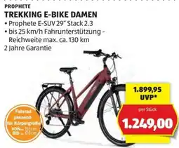 Hofer PROPHETE TREKKING E-BIKE DAMEN Angebot