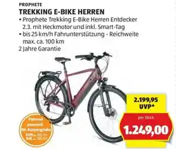 Hofer PROPHETE TREKKING E-BIKE HERREN Angebot