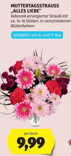 Hofer Muttertagsstrauß Alles Liebe Angebot