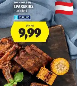 Hofer SONNHOF BBQ SPARERIBS mariniert Angebot