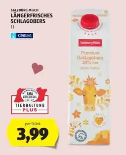 Hofer SALZBURG MILCH LÄNGERFRISCHES SCHLAGOBERS Angebot