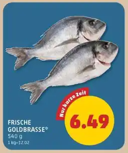 PENNY FRISCHE GOLDBRASSE Angebot