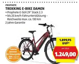 Hofer PROPHETE TREKKING E-BIKE DAMEN Angebot