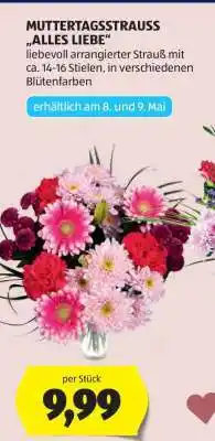 Hofer MUTTERTAGSSSTRAUSS „ALLES LIEBE“ Angebot