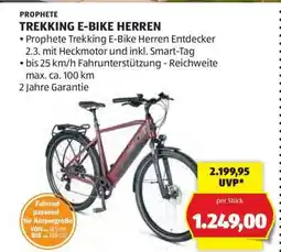 Hofer PROPHETE TREKKING E-BIKE HERREN Angebot