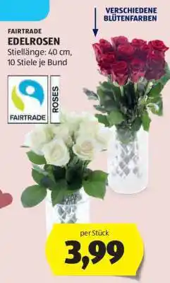Hofer FAIRTRADE EDELROSEN Angebot
