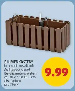 PENNY Blumenkasten Angebot