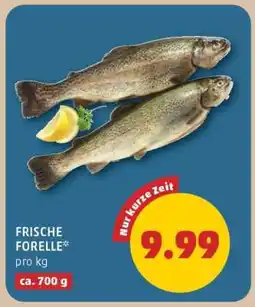 PENNY Frische Forelle Angebot