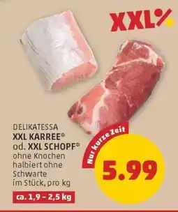 PENNY XXL KARREE od. XXL SCHOPF Angebot