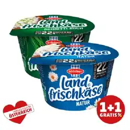 PENNY Landfrischkäse Natur od. Schnittlauch Penny Angebot