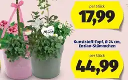 Hofer Kunststoff Topf Angebot