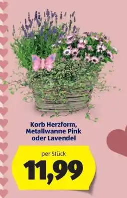 Hofer Korb herzform, metallwanne pink oder lavendel Angebot