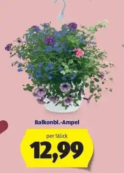 Hofer Balkonblumen-Ampel Angebot