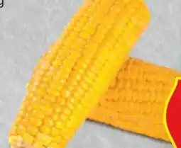 Hofer Hofer Marktplatz Zuckermais Angebot