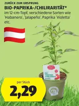 Hofer Zurück zum Ursprung Bio Paprika Chilirarität Angebot