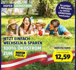 Hofer Hofer grünstrom Angebot