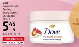 dm Dove Angebot