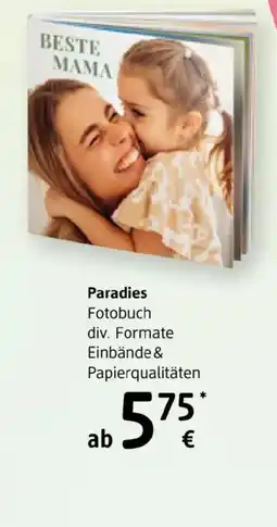 dm Paradies fotobuch div. formate einbände & papierqualitäten Angebot