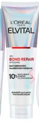 dm Elvital bond repair spülung Angebot