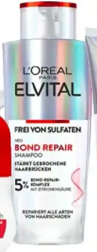 dm Elvital bond repair shampoo Angebot