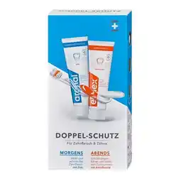 dm Zahnpasta dm Angebot