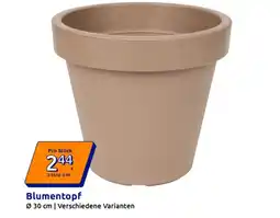 Action Blumentopf Angebot