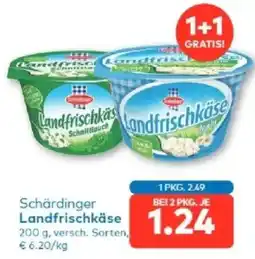 T&G Schärdinger landfrischkäse Angebot
