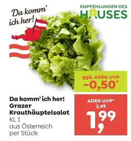ADEG Da komm'ich her! grazer krauthäuptelsalat Angebot