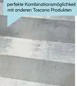 Hellweg Blockstufe Toscana Angebot