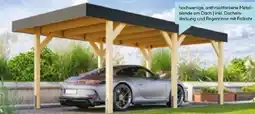 Hellweg Karibu Einzelcarport Angebot