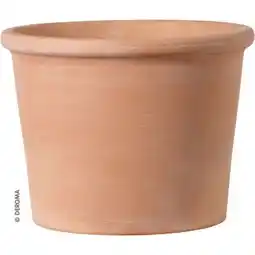 Hellweg Übertopf Cilindro Bordato Angebot