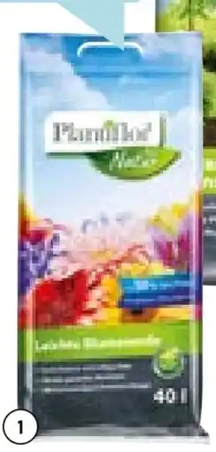 Hellweg Plantiflor Leichte Blumenerde Angebot