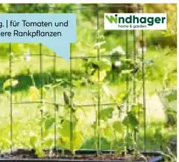 Hellweg Windhager Tomaten-Turm Angebot
