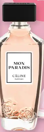 dm Câline Mon Paradis EdP Angebot