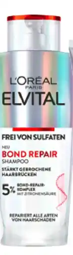 dm L'Oréal Paris Elvital Shampoo Bond Repair Angebot