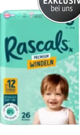 dm Rascals Windeln Premium Angebot